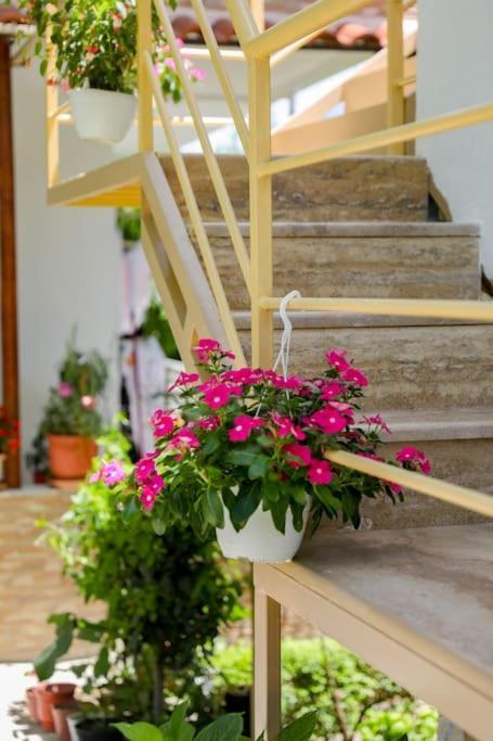 Cereni Guesthouse Берат Экстерьер фото